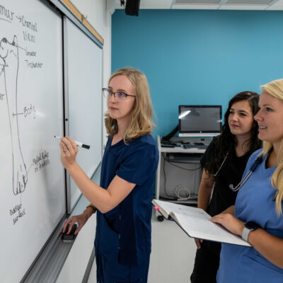 One SDSU vet student drawing a bone on a white board, while two others look on.