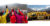 Photos from Above + Beyond Cancer Foundation retreats - photos of groups of cancer patients and survivors with mountains in the background.