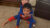 Mike and Tina's two grandsons