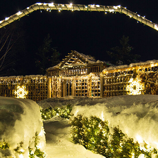 White lights glow up Mrs. Clause retreat within McCrory Gardens.