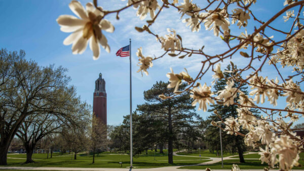 Springtime photo of the Campanile, with a beautiful sky, American flag, and white flowers blooming in the foreground.