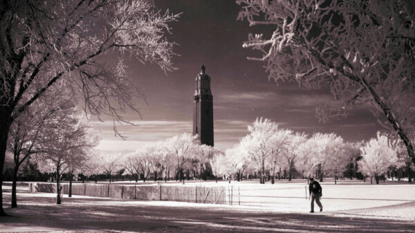 Person walking on a sidewalk with the Coughlin Campanile during winter rising above the frosted trees on the campus of South Dakota State College