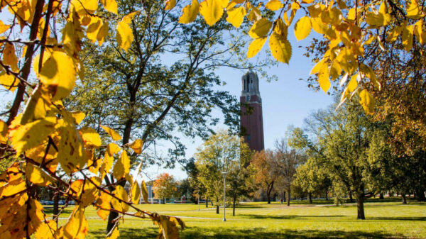 Photo of the Campanile, taken in the Fall, framed with trees with yellow leaves.